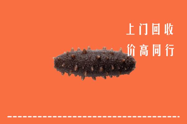 临漳县回收海参