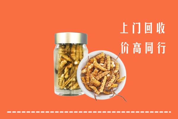 临漳县回收冬虫夏草